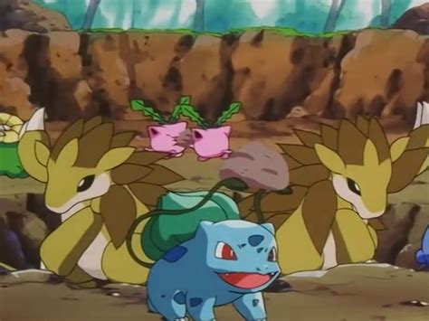 pokemon bulbasaur episode|EP225 .